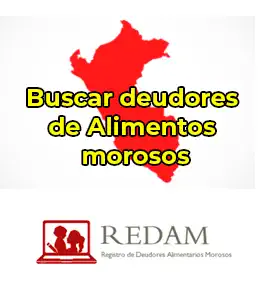 Registro de Deudores Alimentarios Morosos del Poder Judicial